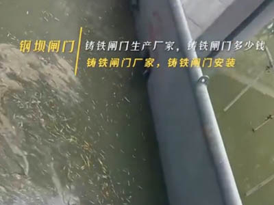 钢制闸门之钢坝闸门是怎么工作的？厂家视频讲解